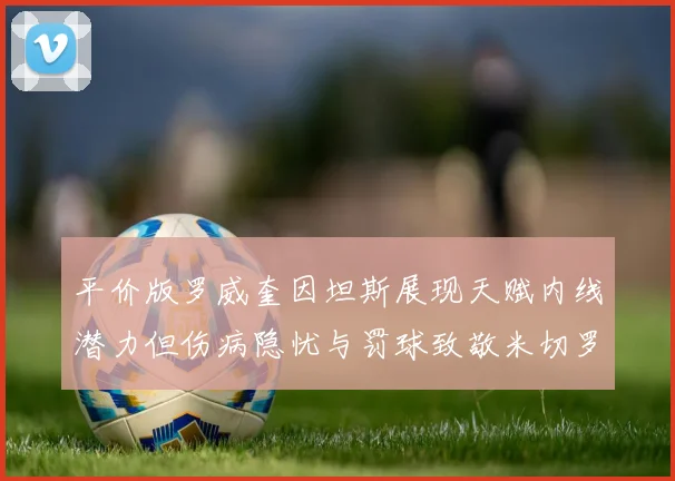 平价版罗威奎因坦斯展现天赋内线潜力但伤病隐忧与罚球致敬米切罗